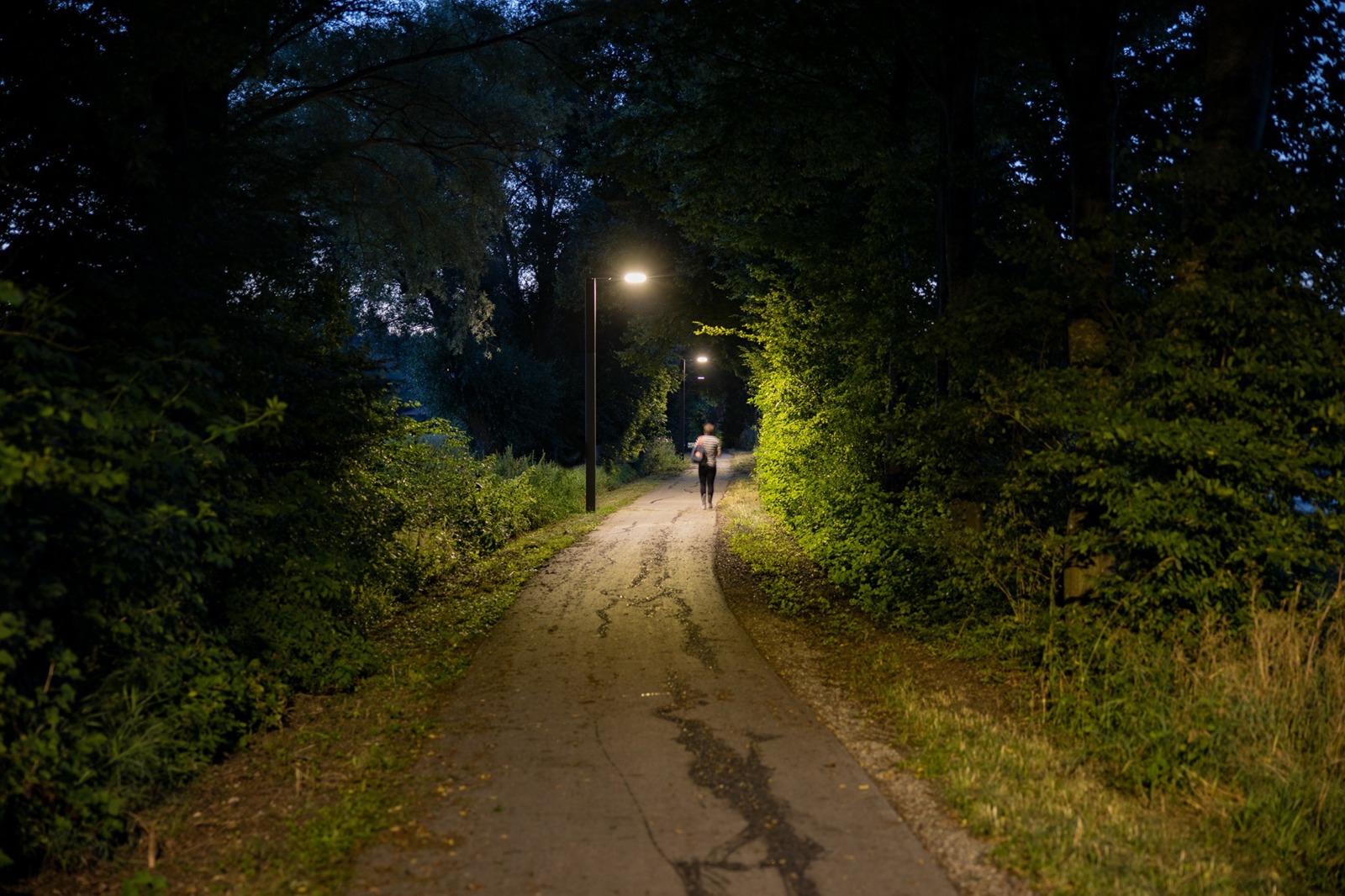 Portiamo la luce sulla strada giusta.