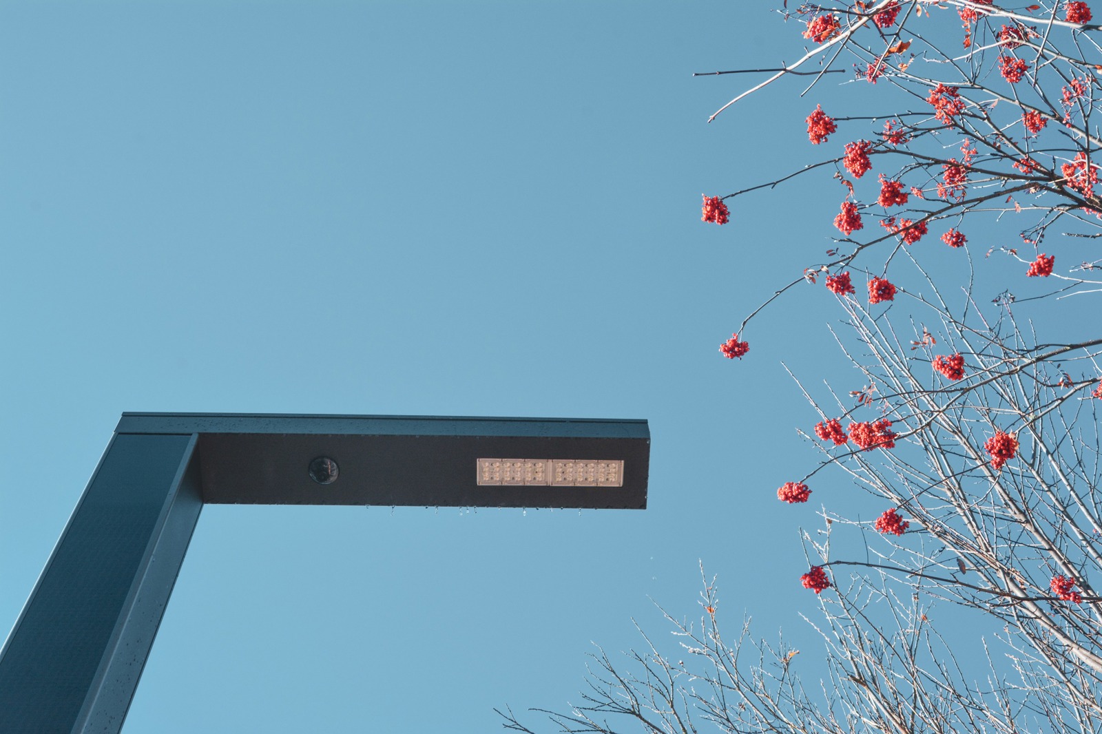 PRÄZISE. BEDARFSORIENTIERT. INTELLIGENT.